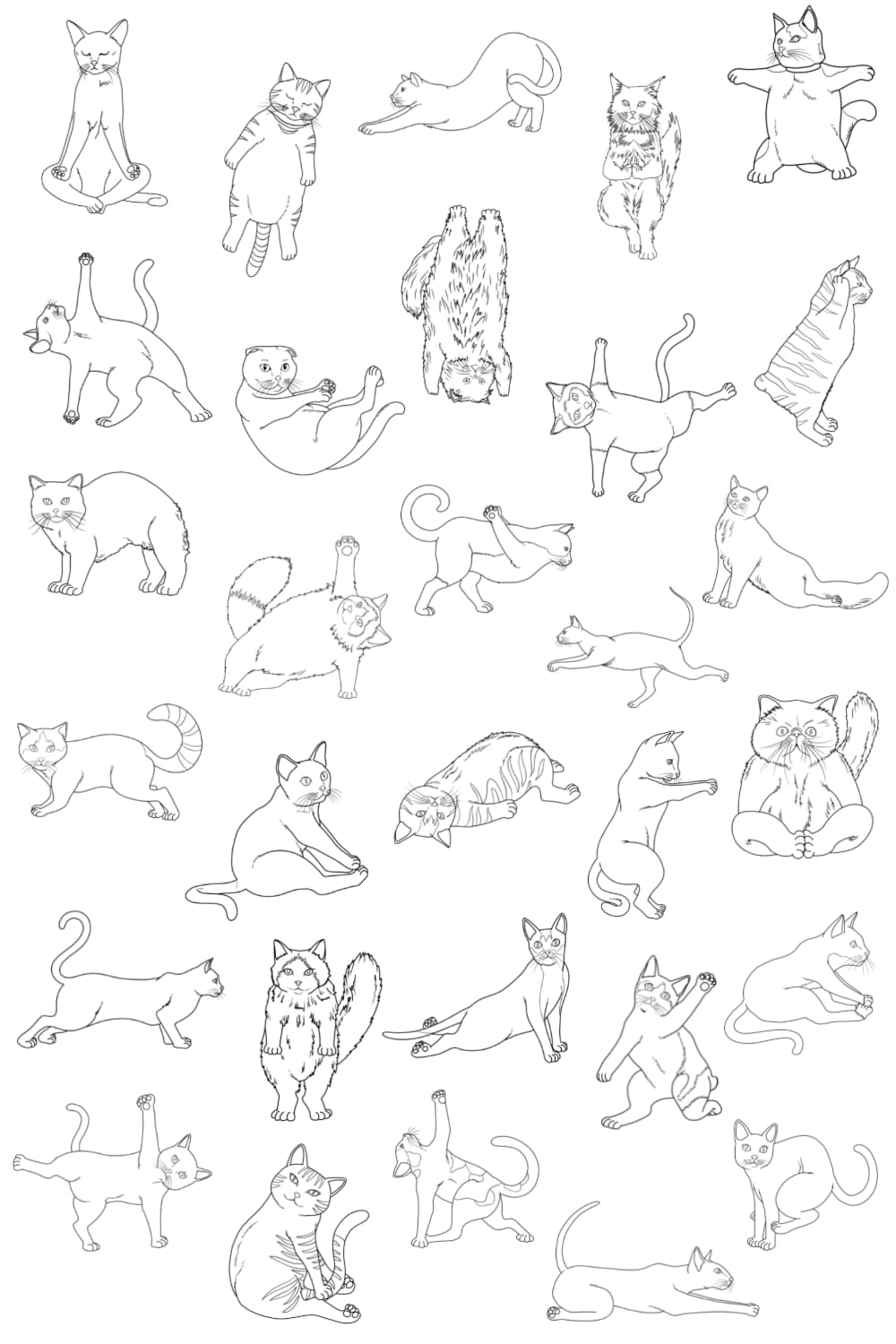 Yoga Cats Characters Black and white