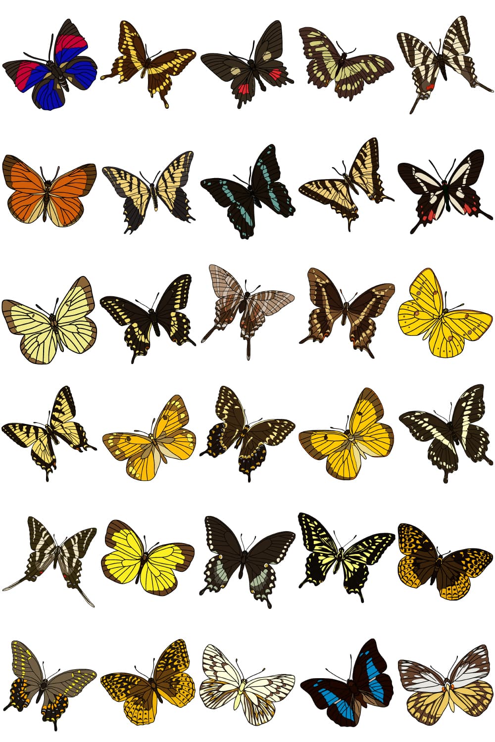 Individual colored butterflies