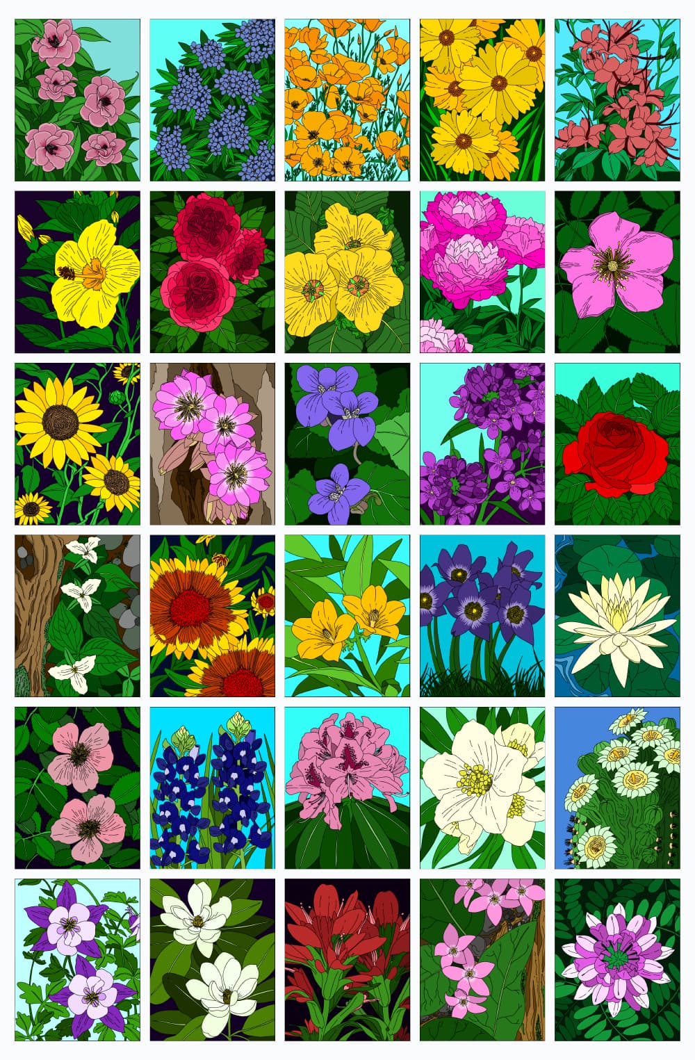 Colored flowers backgrounds